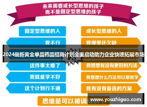 2024最新黄金单品药品招商计划全面启动助力企业快速拓展市场