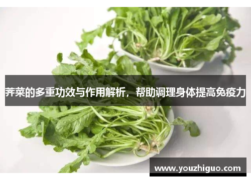 荠菜的多重功效与作用解析,帮助调理身体提高免疫力