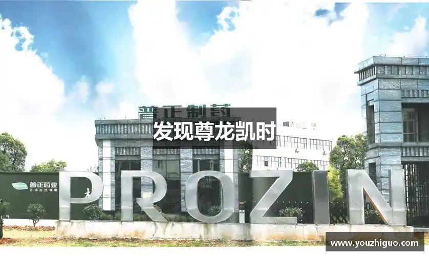 发现尊龙凯时